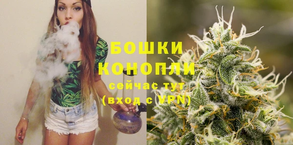 твердый Инсар