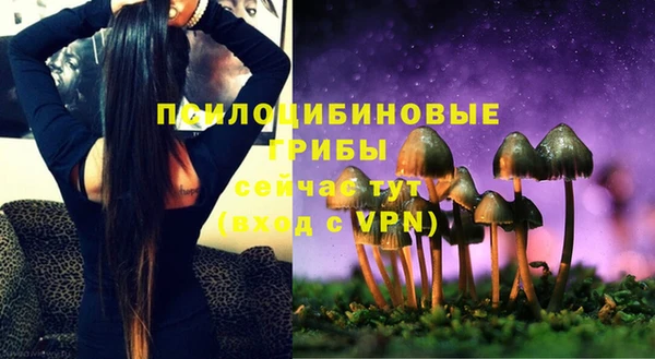 spice Инта