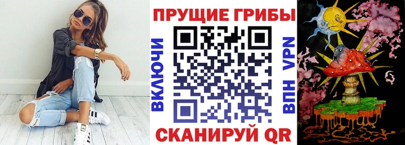 Псилоцибиновые грибы Cubensis  как найти наркотики  Спас-Клепики 